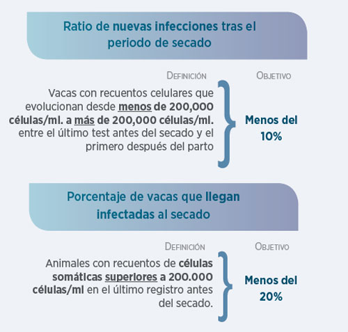 milk production