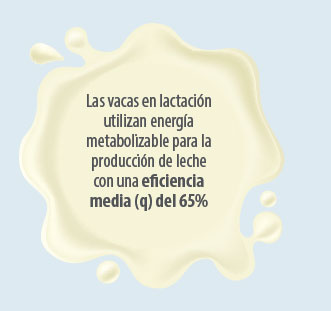 alimentación vacuno