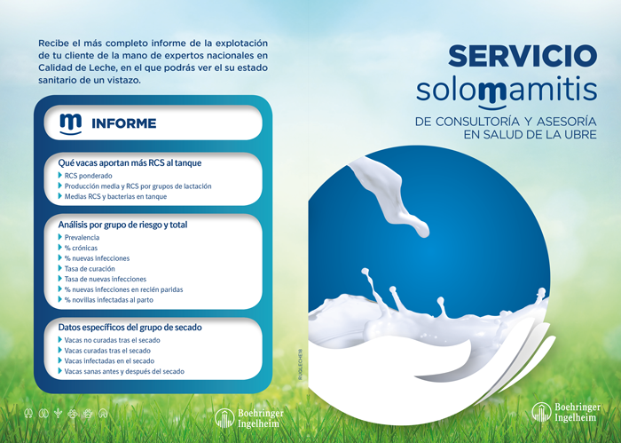 servicio-carteñ-solomamitis