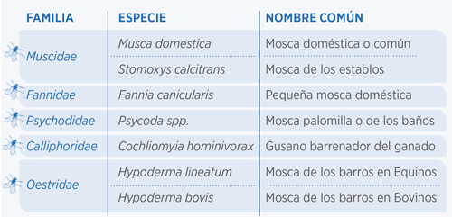 tabla