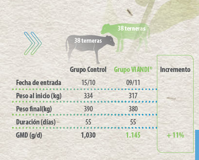 nutrición animal
