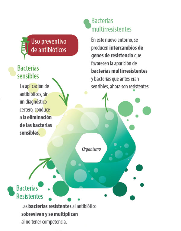 alimentación animal