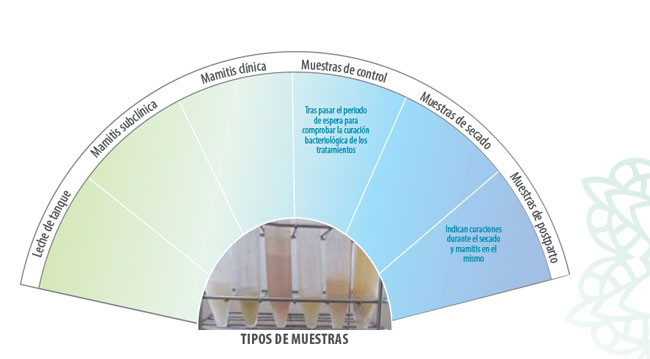 producción vacuno de leche
