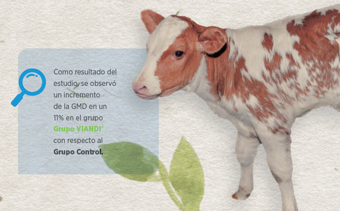 nutrición animal