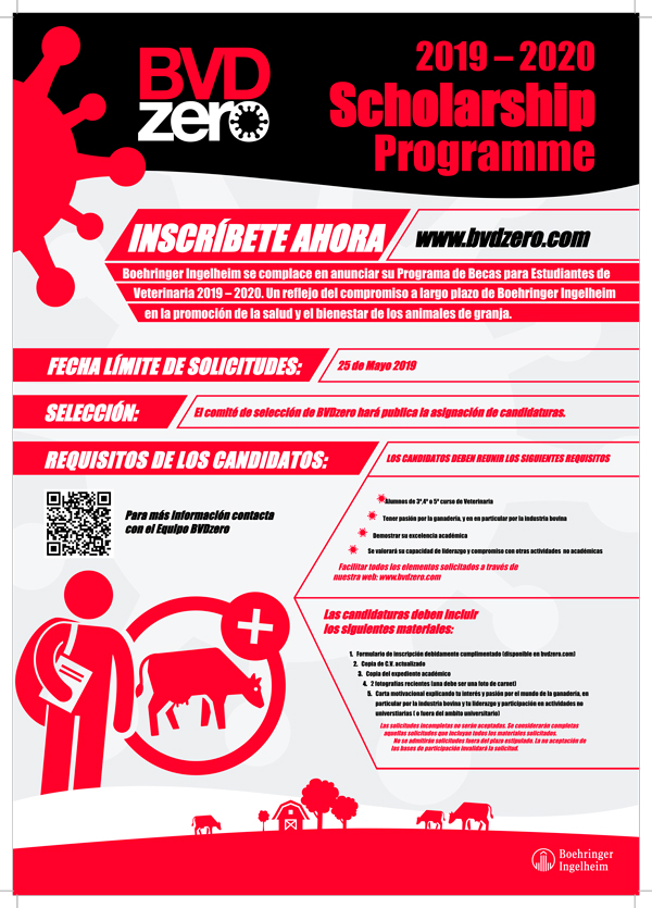 becas BVDzero