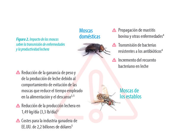moscas en la leche