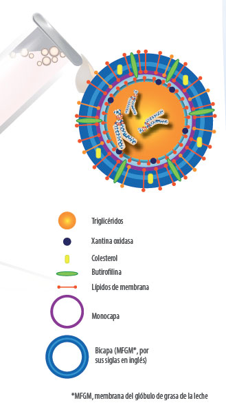 producción láctea y nutrición animal