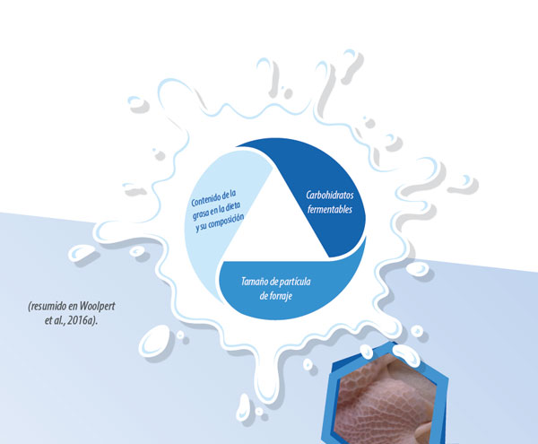 rumen y producción de leche