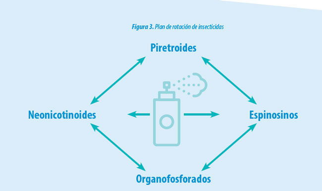 moscas en la producción de leche