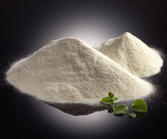 alimentación orégano
