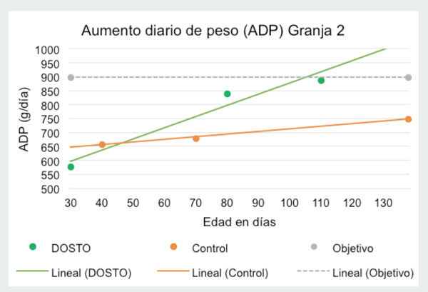 alimentación oregano