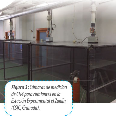 experimento-laboratorio
