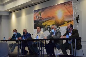 Rueda de prensa