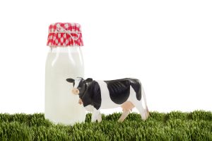 leche de vaca