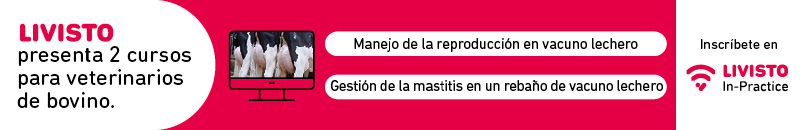 cursos para veterinarios de vacuno