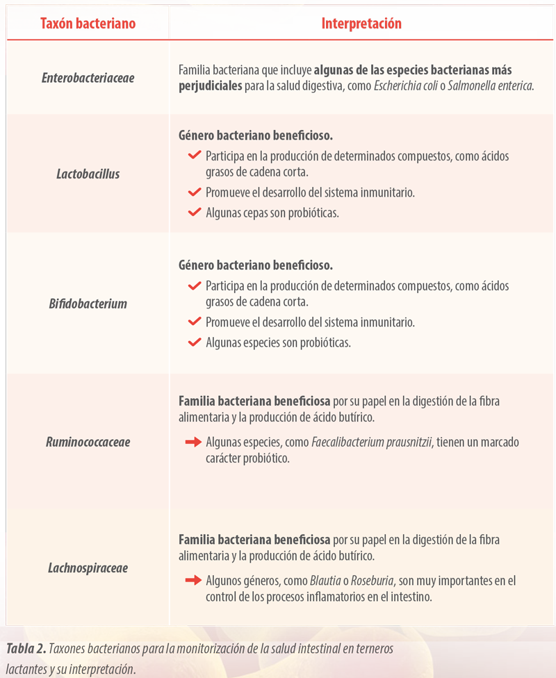 salud intestinal