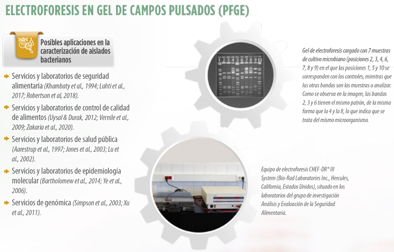 tecnología innovadora
