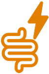 salud intestinal