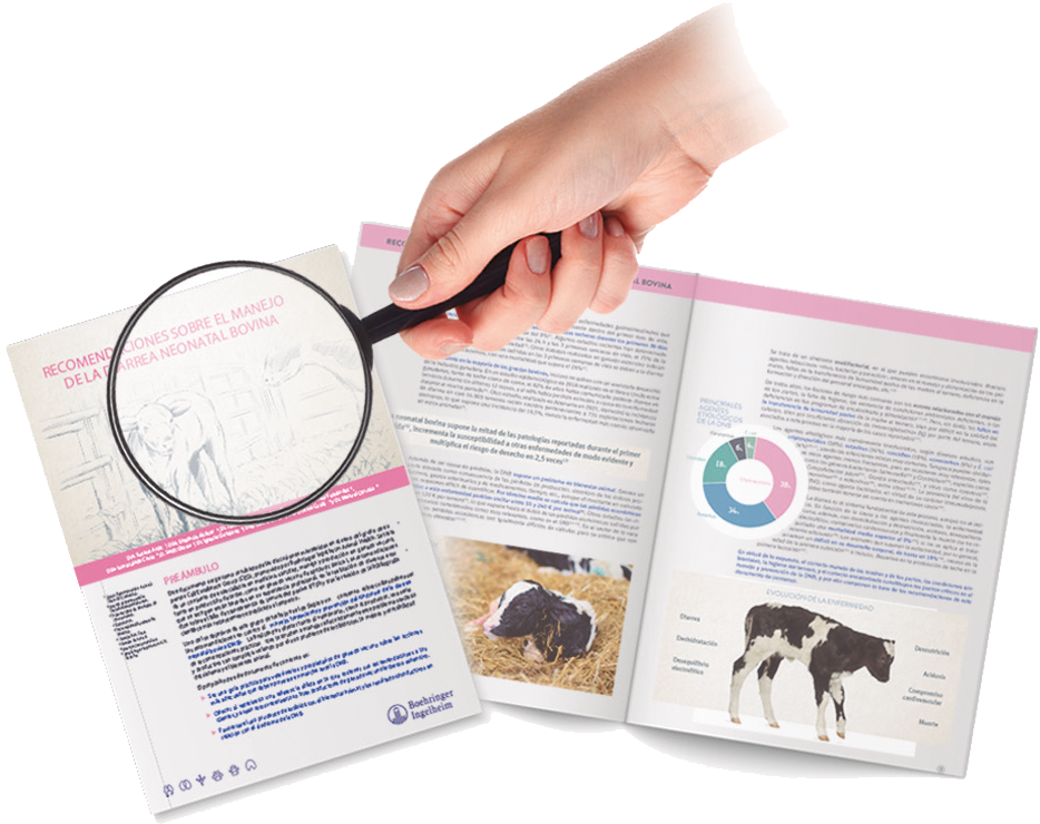 Diarrea Neonatal Bovina