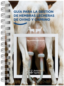 hembras lecheras