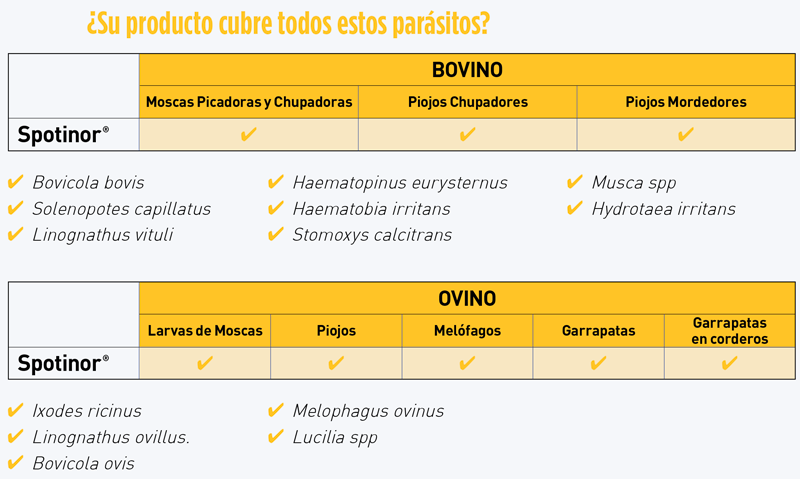 enfermedad hemorrágica epizoótica