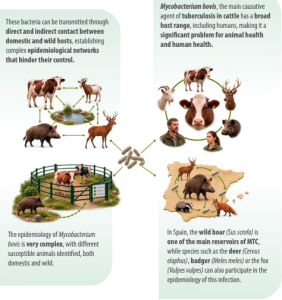 animal-health-surveillance