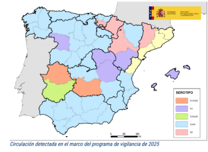 Vacunación contra la lengua azul